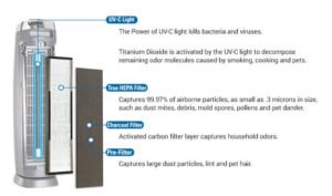 What Are Air Purifiers Used For?