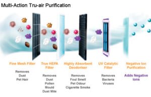 Are Air Purifiers Good For Allergies?