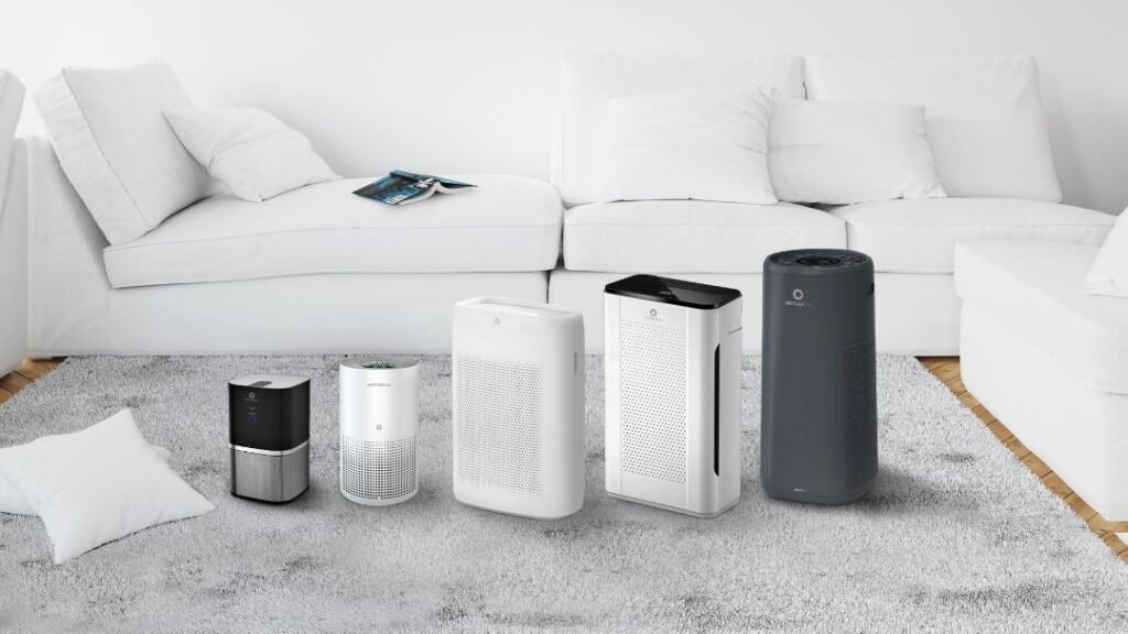 Can I Use a Humidifier & Air Purifier Together