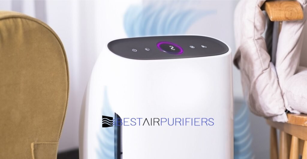 Will Air Purifiers Help With Cat Hair? Find Out Here! best air purifiers