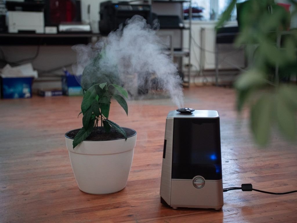 What Does a Humidifier Do